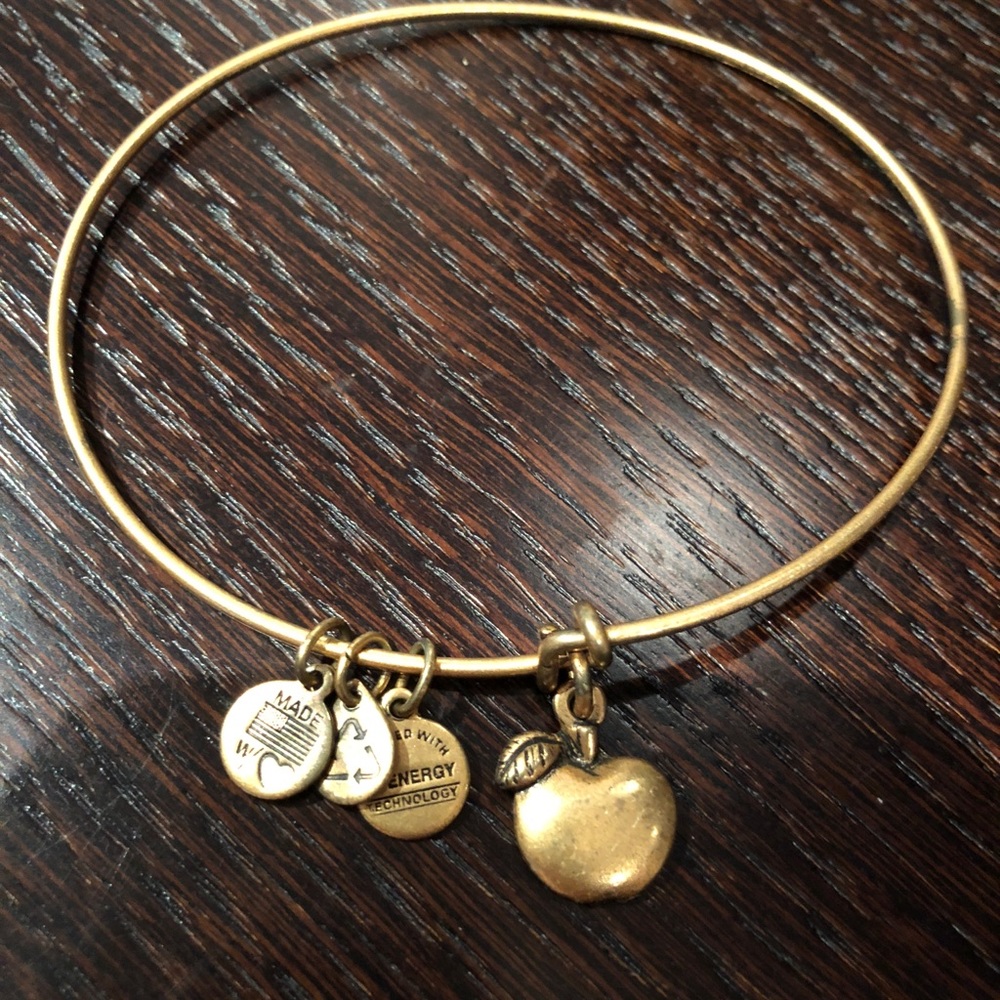 Alex and Ani bracelet charm Apple abundance